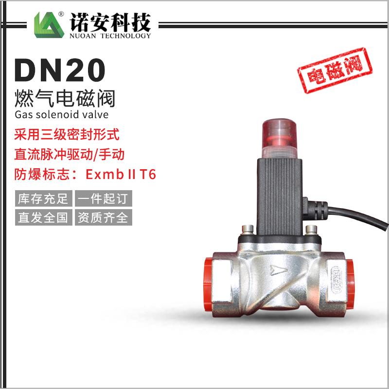 DN20燃?xì)怆姶砰y