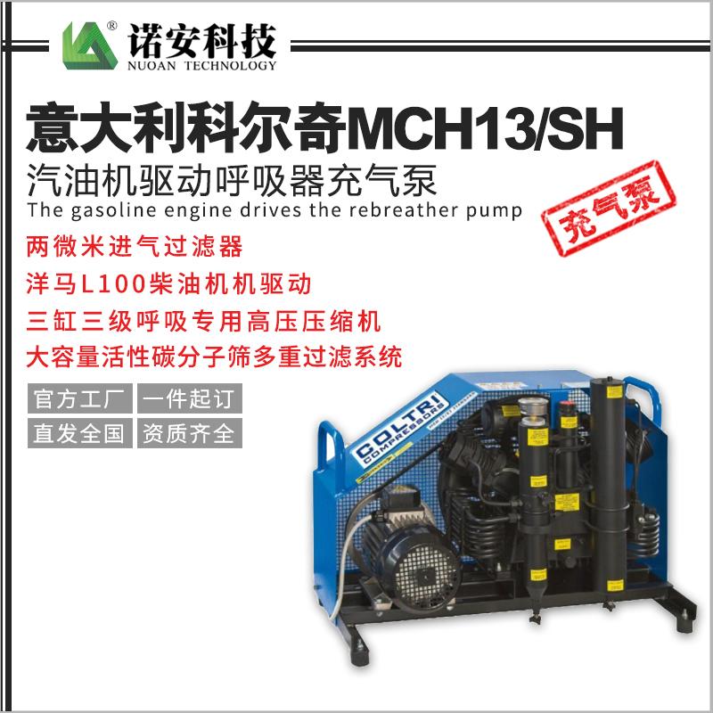 意大利科爾奇MCH13/SH汽油機(jī)驅(qū)動(dòng)呼吸器充氣泵